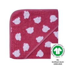  Wörner Südfrottier